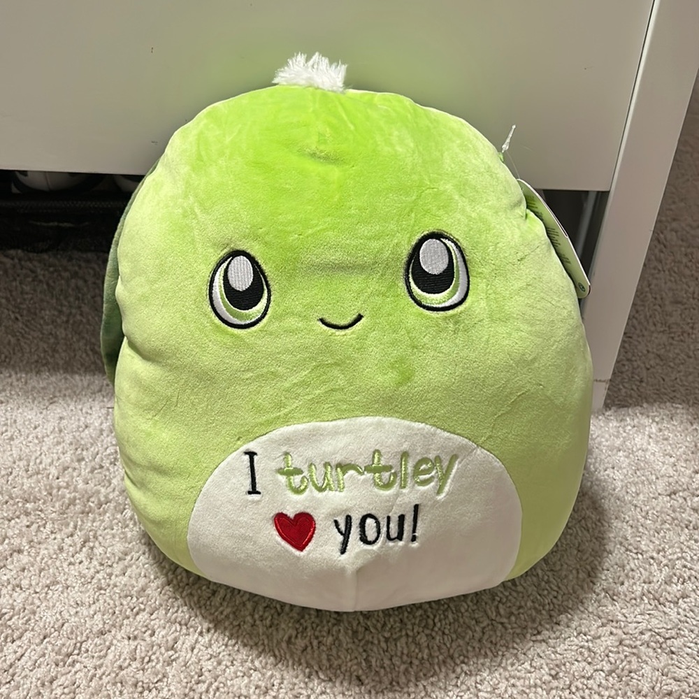Squishmallows Valentine's Day turtle Henry​